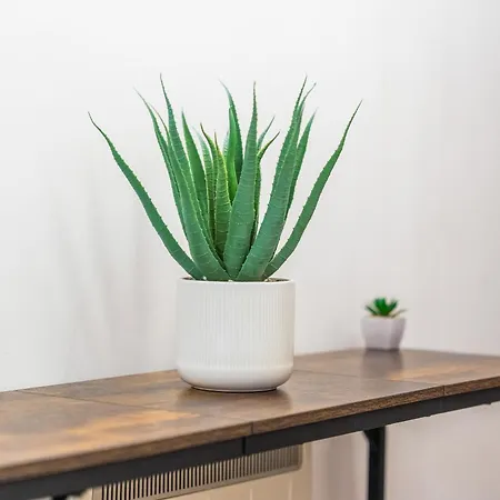 2br Centre Flat - Juliette Balcony - Sleeps 6 公寓 *